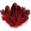 Bažantí peří délka 5-7 cm (Balení 1 sáček, Varianta 2 růžová sv.)