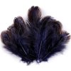 Bažantí peří délka 5-7 cm (Balení 1 sáček, Varianta 2 růžová sv.)