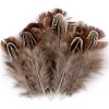 Bažantí peří délka 5-7 cm (Balení 1 sáček, Varianta 2 růžová sv.)