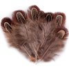 Bažantí peří délka 5-7 cm (Balení 1 sáček, Varianta 2 růžová sv.)