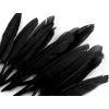 Kachní peří délka  9-14 cm (Balení 1 sáček, Varianta 10 černá)
