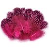 Slepičí peří délka 5-13 cm (Balení 1 sáček, Varianta 1 růžová ostrá)