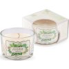 Vonná svíčka ve skle 80 g (Balení 1 ks, Varianta 1 (Fresh flax) krémová světlá)