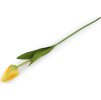 Umělý tulipán dlouhý (Balení 1 ks, Varianta 1 krémová světlá)