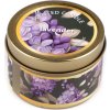 Vonná svíčka v plechovce 60 g (Balení 1 ks, Varianta 1 (jasmine) fuchsiová tm.)