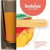 Svíčka Bolsius Jar True Scents 95/95 mm, vonná, mango, ve skle