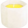 Sviečka Citronella, cement, 85 g, repelentná, 90x75 mm