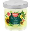 Svíčka Bolsius Floral Fusion Slunečnice a Citrus, vonná, 80/72 mm, ve skle