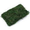 Dekorační mech 50 g (Balení 1 ks, Varianta zelená)