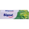 signal zubni pasta green tea 100 ml