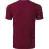 Action V-neck 700 Tričko pánské (Velikost S, Barva garnet)