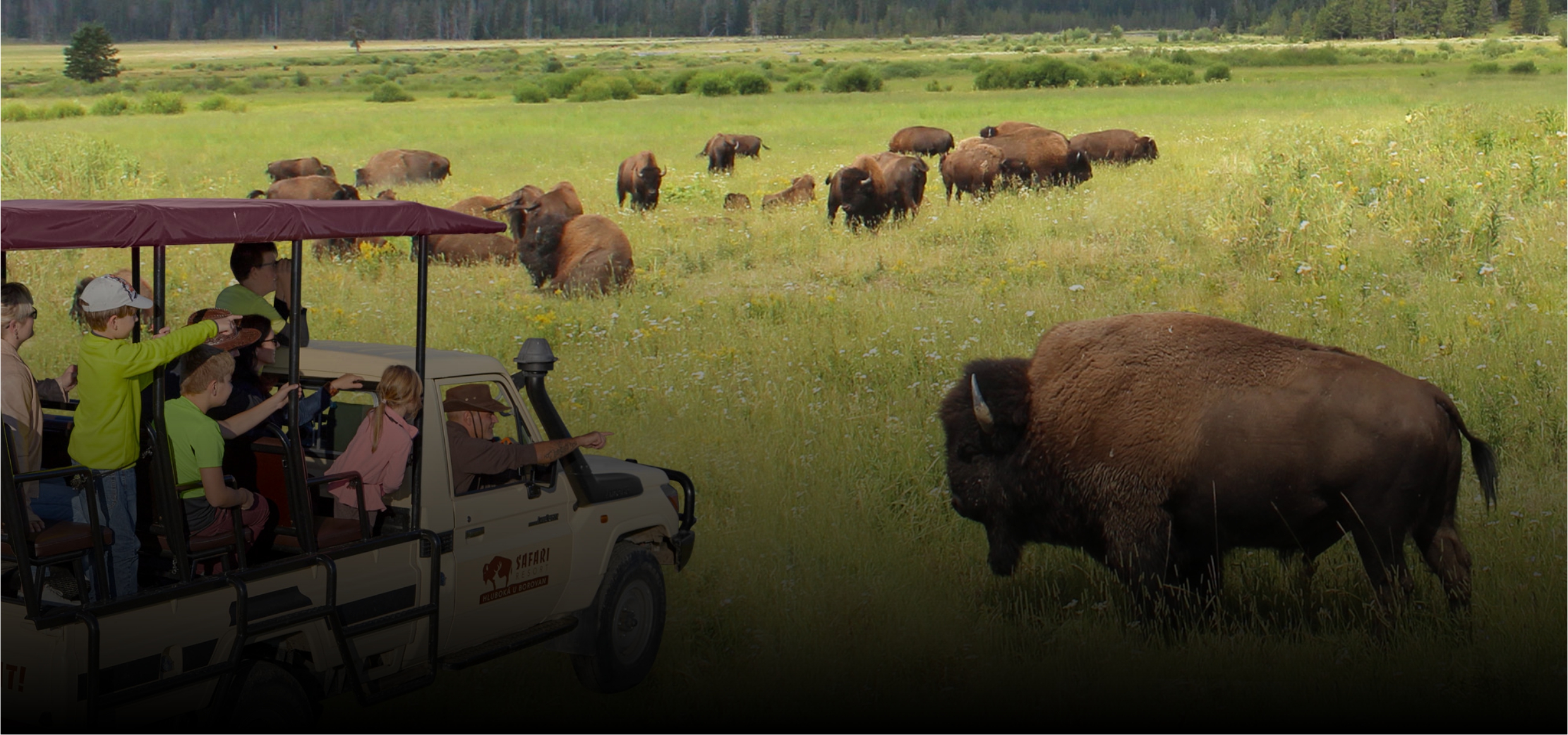 Vyberte si z našich jedinečných zážitků!