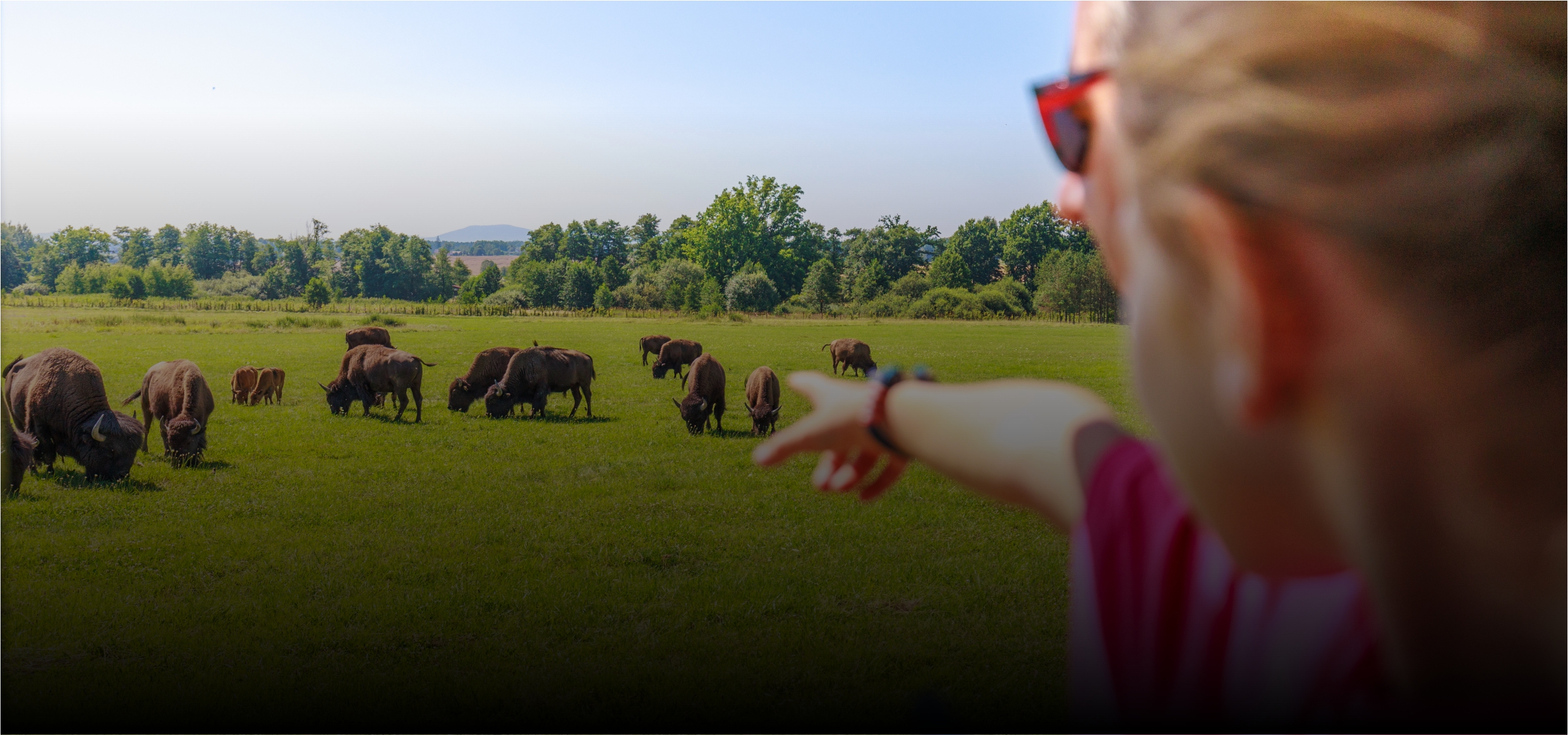 Pořiďte si vzpomínku na Safarï Resort