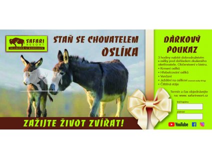 varianta reklamni2