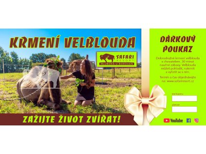 darkovy voucher krmeni velblouda zelený