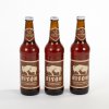 Pivo BISON (3ks)