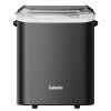salente-icemax-02.jpg