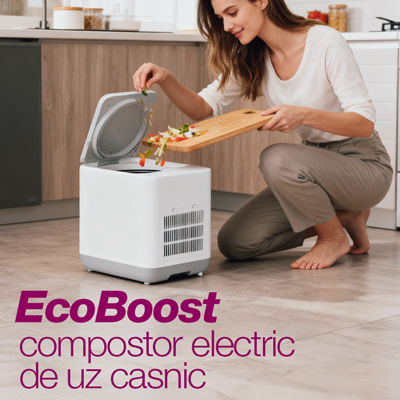 salente ecoboost banner