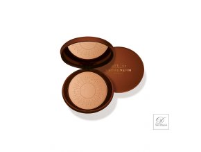 IE web 600x900 V481101 SUN SHEEN TINTED POWDER 15g