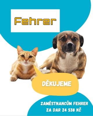 Velký dík zaměstnancům @fehrer_automotive v Liberci za to, že myslí na naše zvířata a složili se na pořádný obnos 🩷 moc si...