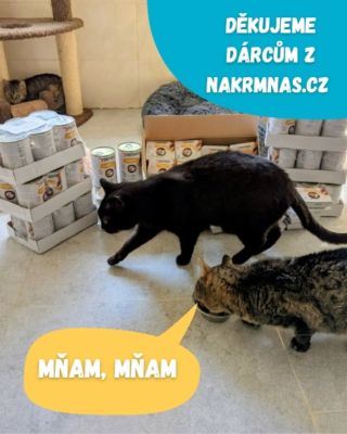 Děkujeme dárcům z @nakrmnas.cz za pořádnou zásobu kočičích konzerv 🥰 na fotce jsou dvě zásilky. #sancezviratum #nakrmnas...