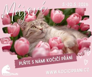 Dnešním dnem startuje májové @kociciprani 😻 Můžete plnit dárky kočenám podle toho, co potřebují nebo sypat do mističek, že...