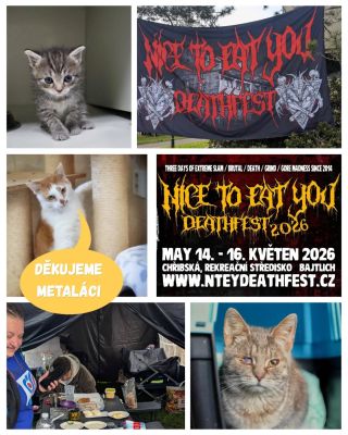 Obří dík letí k pořadatelům Nice to eat you Deathfest 🖤 V rámci tomboly vybrali krásných 7100 Kč pro naše zvířata. Naše...