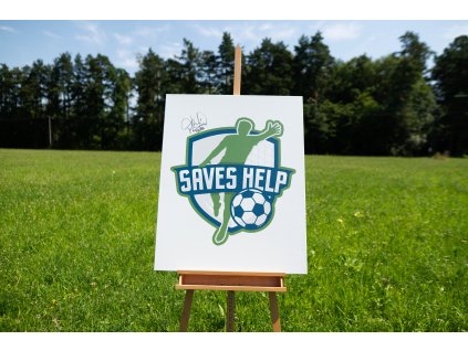 Obraz SAVES HELP - Main logo - 004