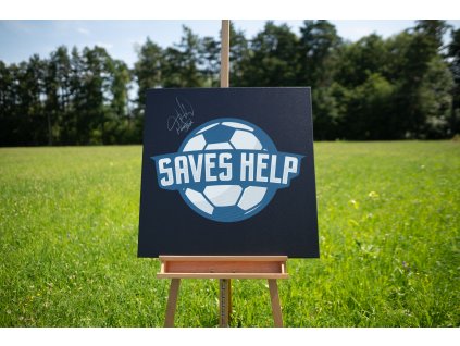 Obraz SAVES HELP - Alternative logo - 005