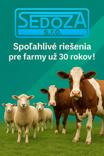 30 rokov