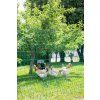Elektrická sieť pre hydinu AKO Poultry Netting 106 cm 15–50 m