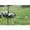 Elektrická sieť pre hydinu AKO Poultry Netting 106 cm 15–50 m