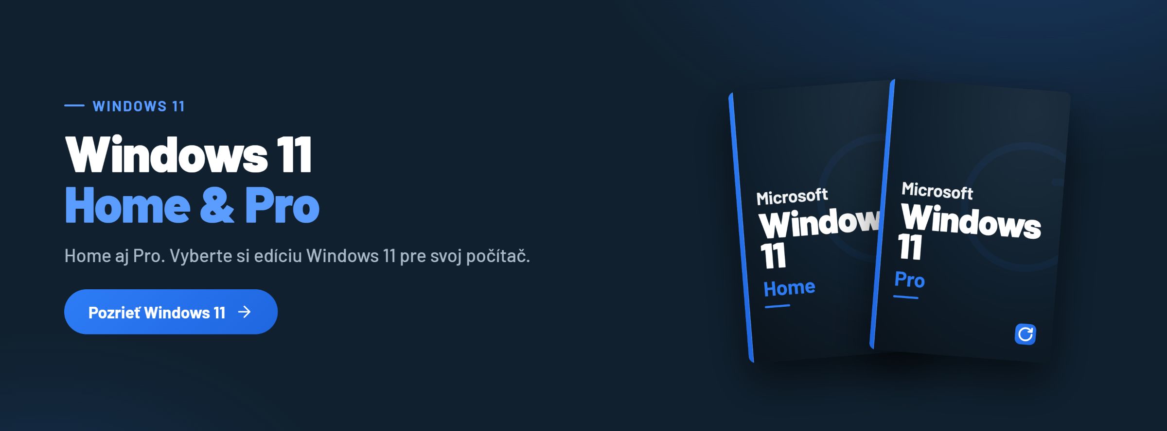 Microsoft Windows 11 Home a Pro