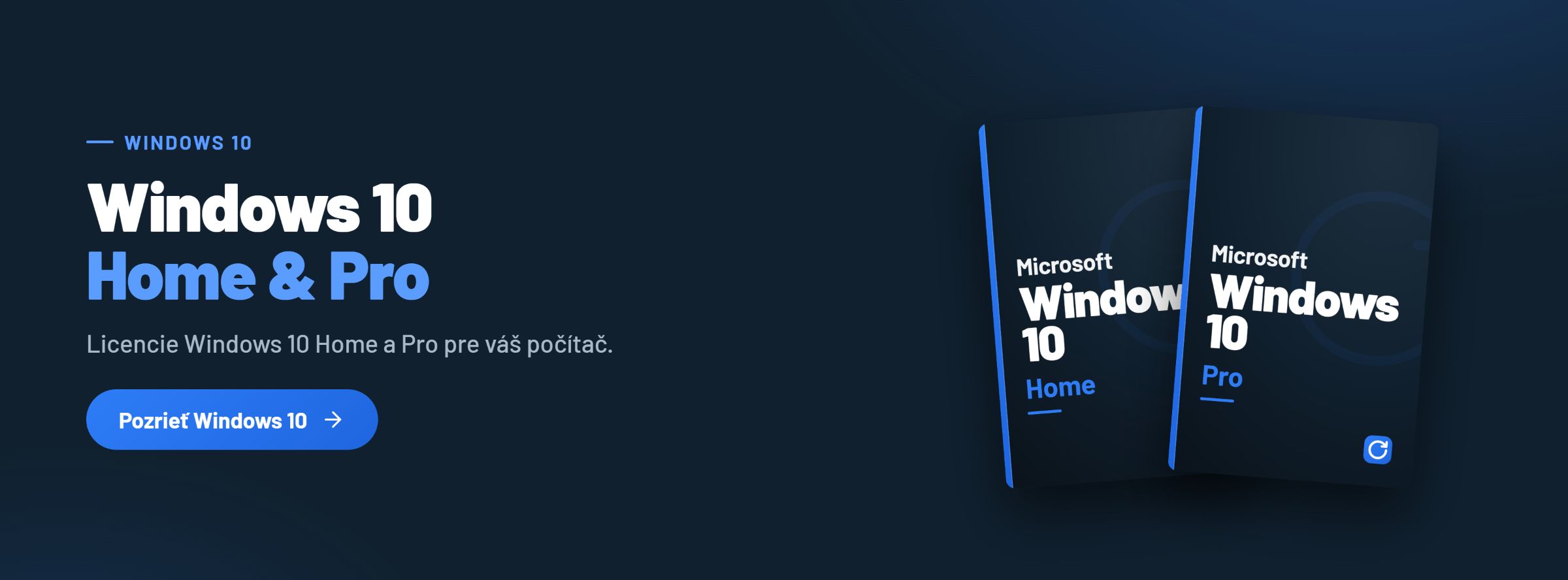 Microsoft Windows 10 Home a Pro