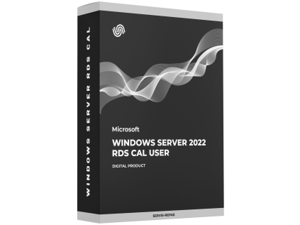 Windows Server 2022 rds cal user