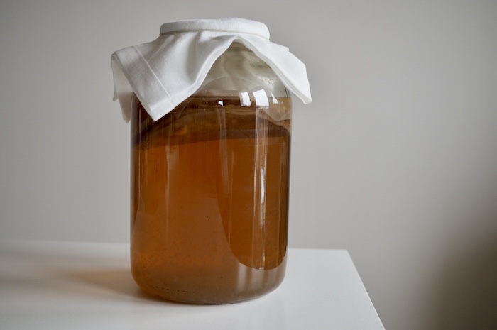 Domácí kombucha