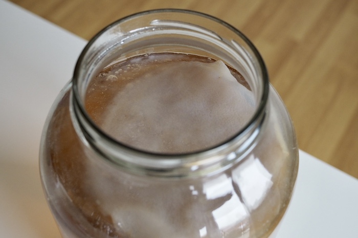Postup kombucha 2