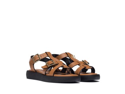 AB 1012 CUERO 1