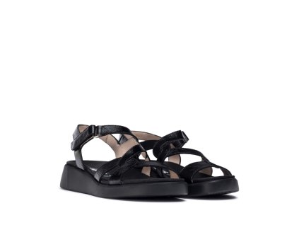 C 6541 NEGRO 1
