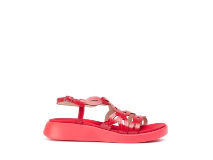 C 6542 ROJO 1