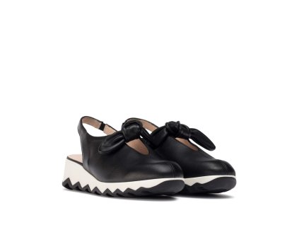 C 7602 NEGRO 1