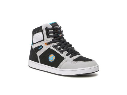 DVS 2