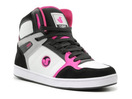 DVS 4