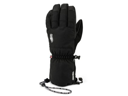 glove 1