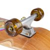 Longboard Arbor Solstice B4Bc Cucharon