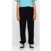 teplaky santa cruz classic label jogger (2)