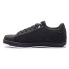DVS 3