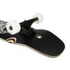 longboard arbor shakedown 34 scorpion 5