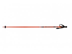 BLIZZARD Race ski poles, black/orange
