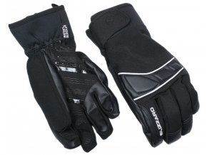 lyžařské rukavice BLIZZARD Profi ski gloves, black/silver (Veľkosť 9)